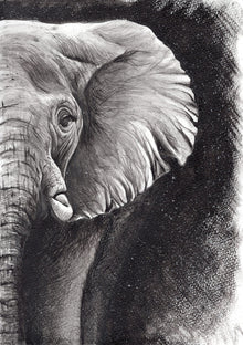  Elephant - Original