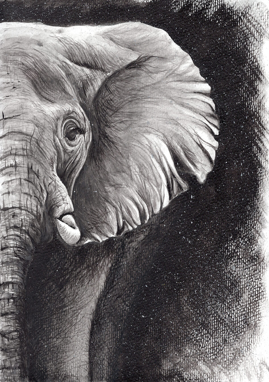 Elephant - Original