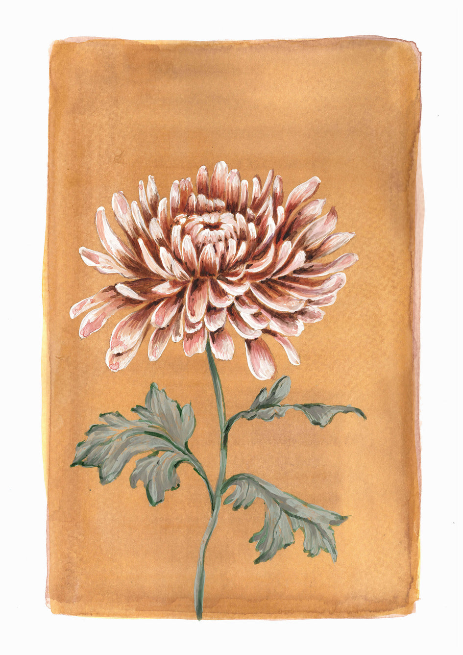 November - Chrysanthemum on Citrine