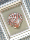 Hand Painted Shell - Terracotta and White