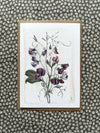 Pack of 6 Birth Flower Greeting Cards - April