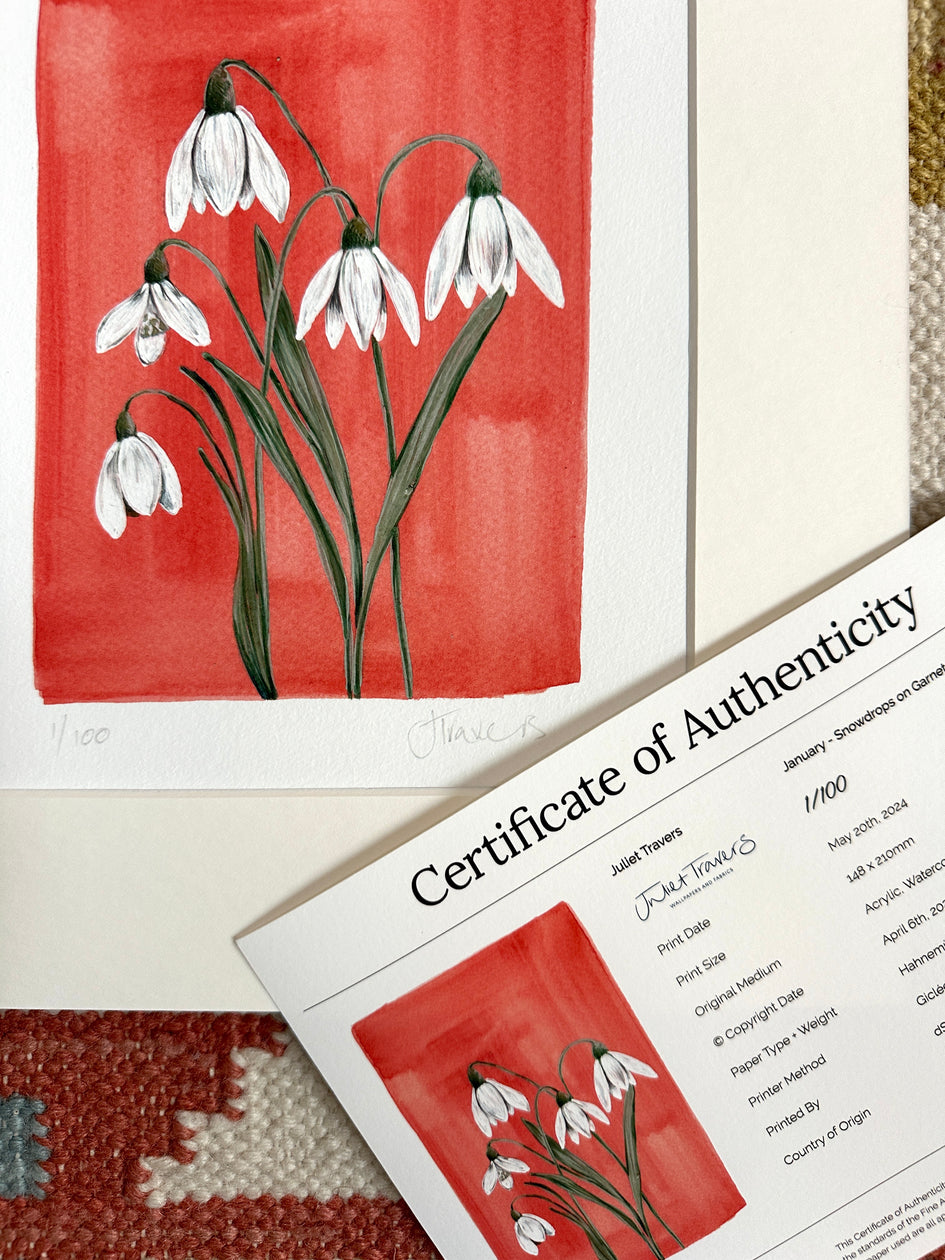 January - Snowdrops on Garnet A5 Print