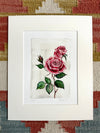 June - Roses on Pearl A5 Print