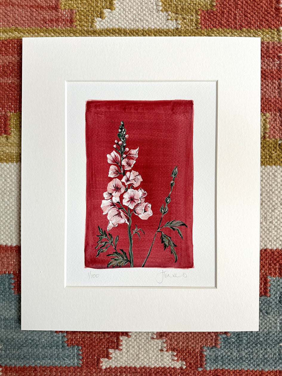 July - Delphinium on Ruby A5 Print