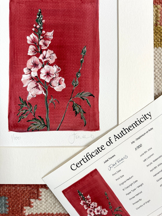 July - Delphinium on Ruby A5 Print