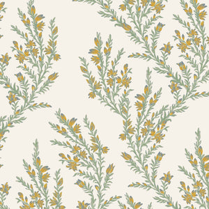 Ochre and Sage