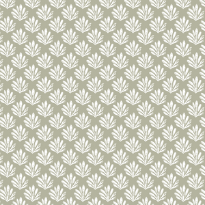White on Sage