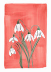 January - Snowdrops on Garnet