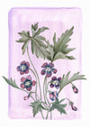 February - Violets on Amethyst