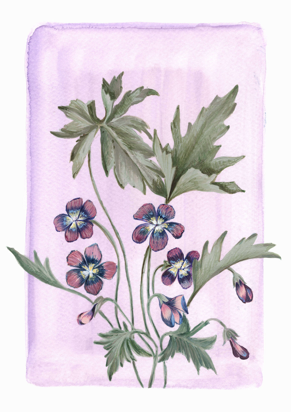 February - Violets on Amethyst